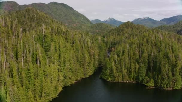 British Columbia Circa 2018 Inglês Tiro Aéreo Cascatas Tiro Helicóptero — Vídeo de Stock