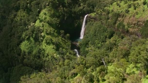 カウアイ島 ハワイ2018年頃 カウアイ島の美しい滝の空中ビュー CineflexとRed Epic Heliumで撮影 — ストック動画