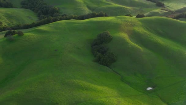 Letecký Pohled Zelené Zvlněné Kopce Napa Kalifornie — Stock video