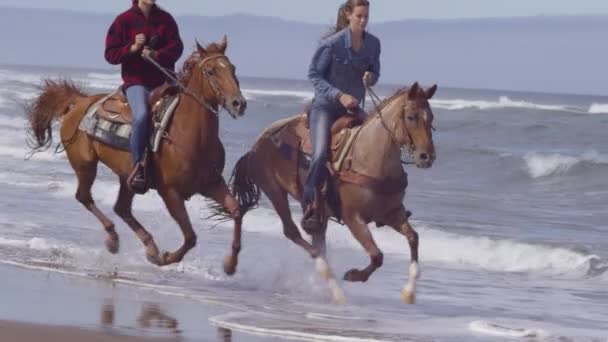 Женщины Ездят Лошадях Пляже Замедленной Съемке — стоковое видео