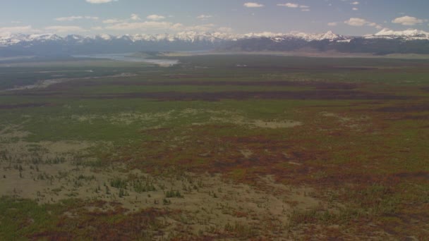 Yellowstone National Park Wyoming Luchtfoto Van Yellowstone National Park Schot — Stockvideo