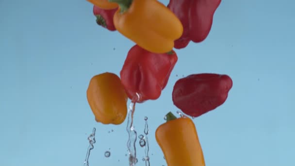 Pimentos Voando Câmera Lenta Filmados Com Phantom Flex 1000 Quadros — Vídeo de Stock