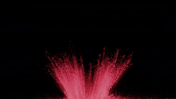 Rood Poeder Explodeert Zwarte Achtergrond Super Slow Motion Geschoten Met — Stockvideo