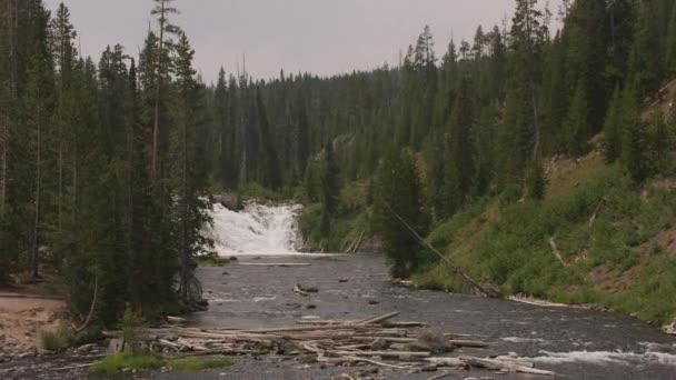 Yellowstone Nemzeti Park Légi Felvétel Természet Usa — Stock videók