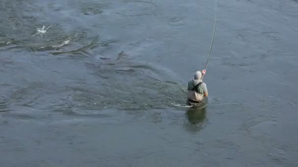 Homem Pesca Com Mosca Rio — Vídeo de Stock