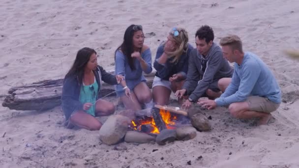 一群朋友在海滩边篝火边和烤棉花糖边玩耍 — 图库视频影像
