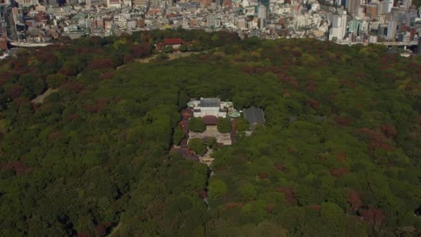 Tokyo Japan Circa 2018 Aerial View Yoyogi Park Meiji Jingu — Stock Video