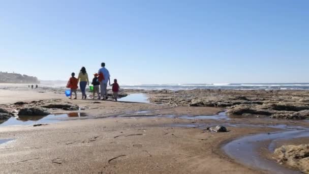 Family Walking Beach Tidepools Stock Footage