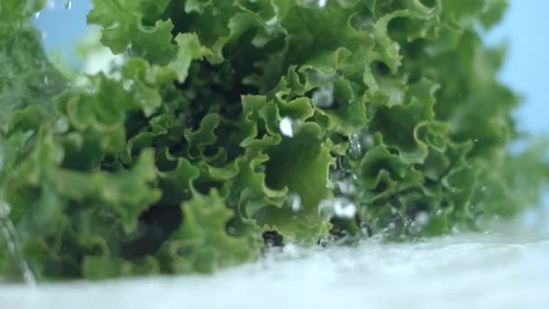 Wasser Spritzt Zeitlupe Auf Frischen Salat — Stockvideo