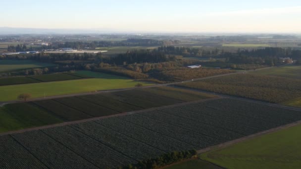 Willamette Valley Landbouwgrond Van Oregon Ultra — Stockvideo