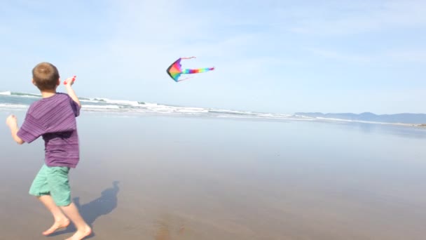 Молодий Хлопець Літає Повітряний Змій Пляжі — стокове відео