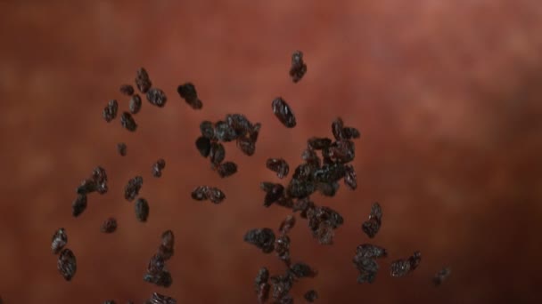 Rozijnen Vliegen Slow Motion Geschoten Phantom Flex — Stockvideo