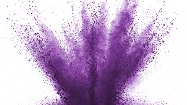 Фиолетовый Порошок Взрывается Белом Фоне Супер Замедленной Съемке Снятый Помощью — стоковое видео