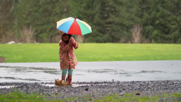 Chica Joven Con Paraguas Jugando Lluvia Cámara Lenta Disparo Con — Vídeo de stock