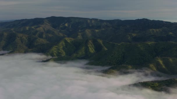 北カリフォルニアの丘の上の低霧の空中ビュー — ストック動画