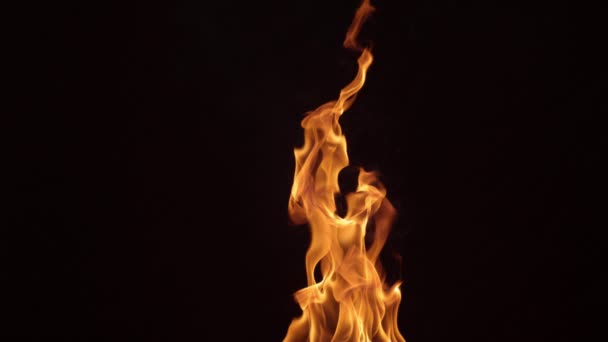 Flammen Brennen Zeitlupe Auf Schwarzem Hintergrund — Stockvideo