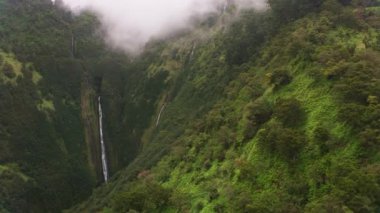Maui, Hawaii 2018 dolaylarında. Maui 'deki Honokohau Şelalesi' nin havadan görüntüsü. Cineflex ve RED Epic-W Helyum ile çekilmiştir..