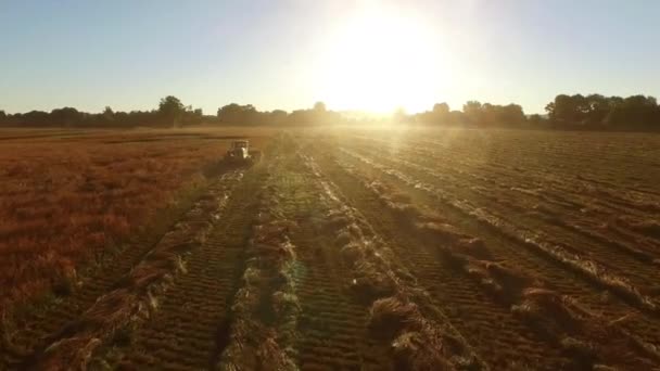 Luchtopname Van Combineren Het Veld Bij Zonsopgang — Stockvideo