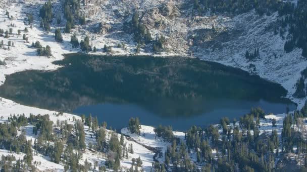 Landschappelijk Uitzicht Prachtige Natuur Montana Usa Luchtfoto Van Hoogland — Stockvideo