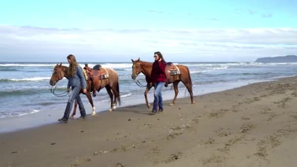 Frauen Gehen Mit Pferden Strand — Stockvideo