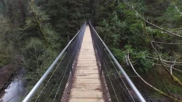 Pov Disparo Caminando Través Puente Colgante — Vídeos de Stock