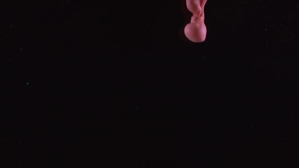 Медленный Снимок Красных Чернил Черном Фоне Снятый Камерой Phantom Flex — стоковое видео