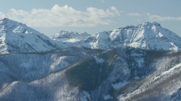 Сценічний Вигляд Прекрасної Природи Монтані Сша — стокове відео