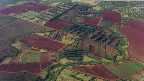 Maui Hawaï Circa 2018 Luchtfoto Van Landbouwgronden Maui Opgenomen Met — Stockvideo