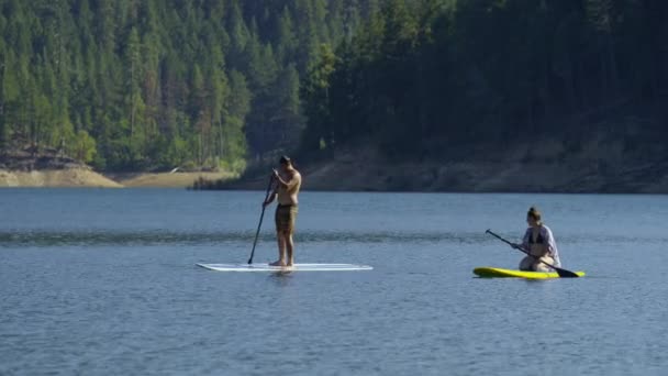 Pareja Stand Paddle Boards Lago — Vídeos de Stock