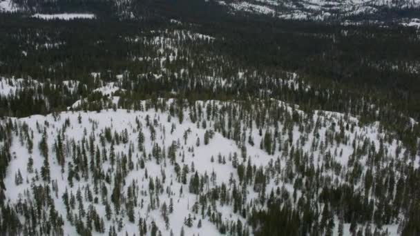 Widok Powietrza Pasmo Górskie Sierra Nevada — Wideo stockowe