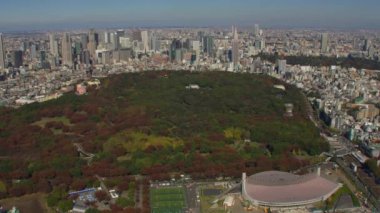 Tokyo, Japonya 2018 dolaylarında. Yoyogi Parkı ve Meiji Jingu Tapınağı 'nın havadan görünüşü. Kırmızı kamerayla helikopterden çekilmiş..