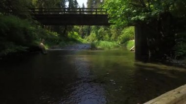 Oregon, ABD 'de köprüsü olan bir derenin üzerinden uçuyor.