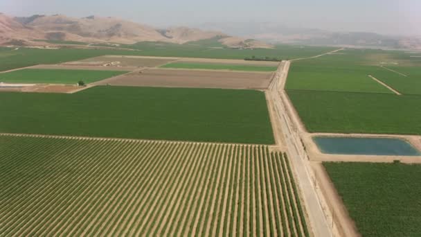 Californië Circa 2017 Luchtfoto Van Landbouwgronden Guadalupe Opgenomen Met Cineflex — Stockvideo