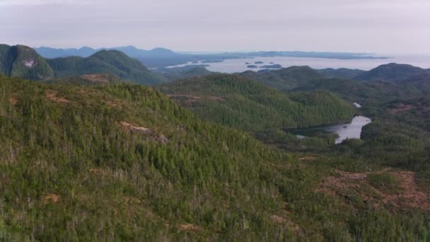 British Columbia Circa 2018 Letecký Pohled Les Jezera Snímek Vrtulníku — Stock video