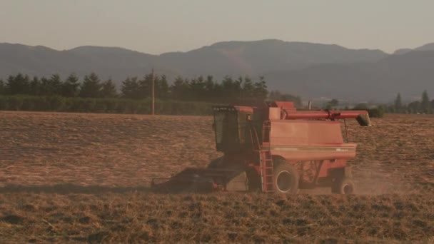 Spårning Skott Kombinera Fält Vid Solnedgången Willamette Valley Oregon Usa — Stockvideo