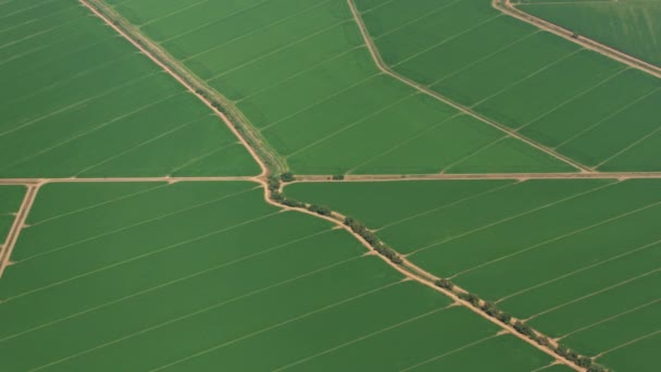 California Circa 2017 Aerial View Beautiful Green Farmlands Shot Cineflex — Stock Video
