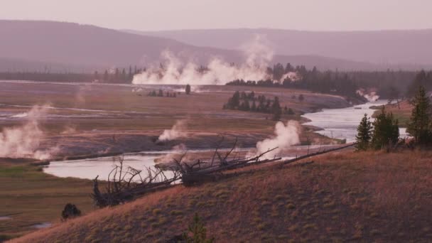 Geysers Fluviaux Fumants Parc National Yellowstone — Video