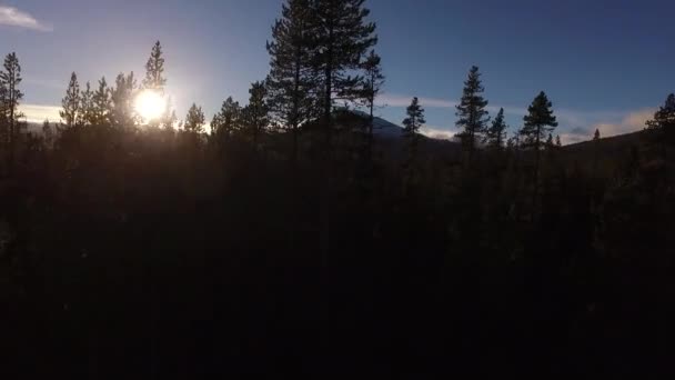 Αεροφωτογραφία Του Δάσους Του Όρεγκον Και Του Βουνού Εργένης — Αρχείο Βίντεο