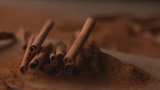 Cinnamon Sticks Falling Powdered Cinnamon Super Slow Motion Shot Phantom — Stock Video