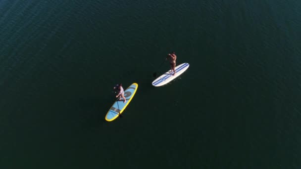 湖の上のパドルボードの上に立つカップルのドローンショット — ストック動画