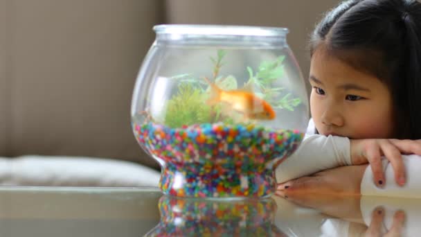 Genç Asyalı Kız Kâsedeki Japon Balığına Bakıyor — Stok video