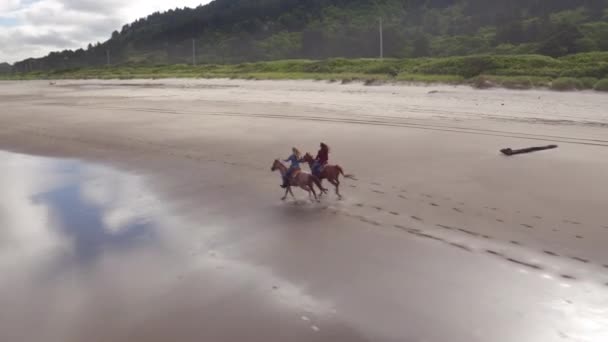 Vista Aérea Las Mujeres Caballo Playa — Vídeos de Stock