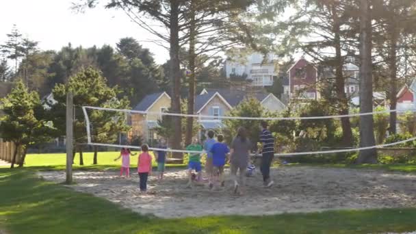 Família Jogando Vôlei Parque — Vídeo de Stock