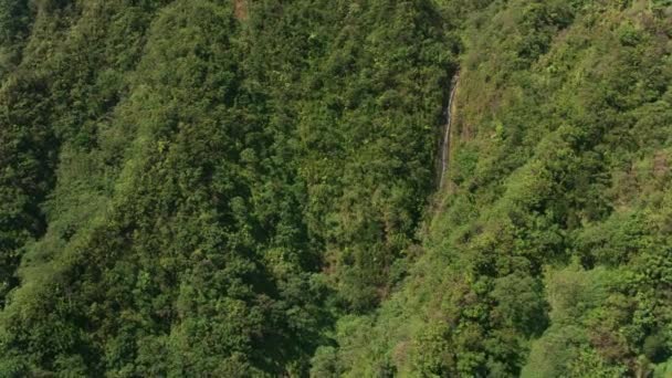 Oahu Hawaii Cirka 2018 Flygfoto Över Vattenfall Brant Skogsterräng Skott — Stockvideo