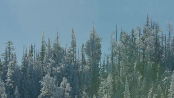 Scénický Pohled Krásnou Přírodu Montaně Usa Letecké Záběry Vysočiny — Stock video