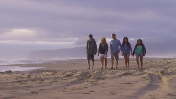 一緒にビーチに沿って歩く友人のグループ — ストック動画