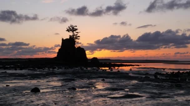 Zachód Słońca Nad Zatoką Siletz Lincoln City Oregon — Wideo stockowe