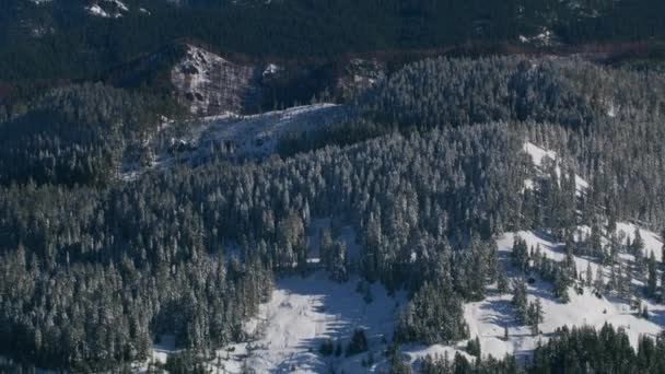 俄勒冈州 2018年左右 冬季的俄勒冈州级联山脉空中景观 直升机用Cineflex Gimbal和Red Epic W相机拍摄 — 图库视频影像