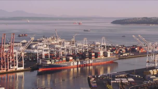 Seattle Washington Περίπου 2017 Αεροφωτογραφία Πλοίου Μεταφοράς Εμπορευματοκιβωτίων Στο Λιμάνι — Αρχείο Βίντεο
