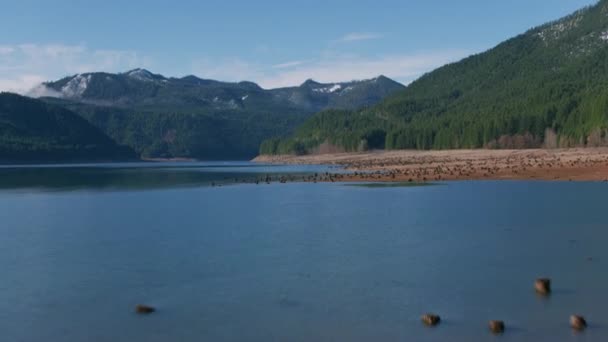 Oregon Circa 2018 Vue Aérienne Lac Detroit Prise Vue Depuis — Video